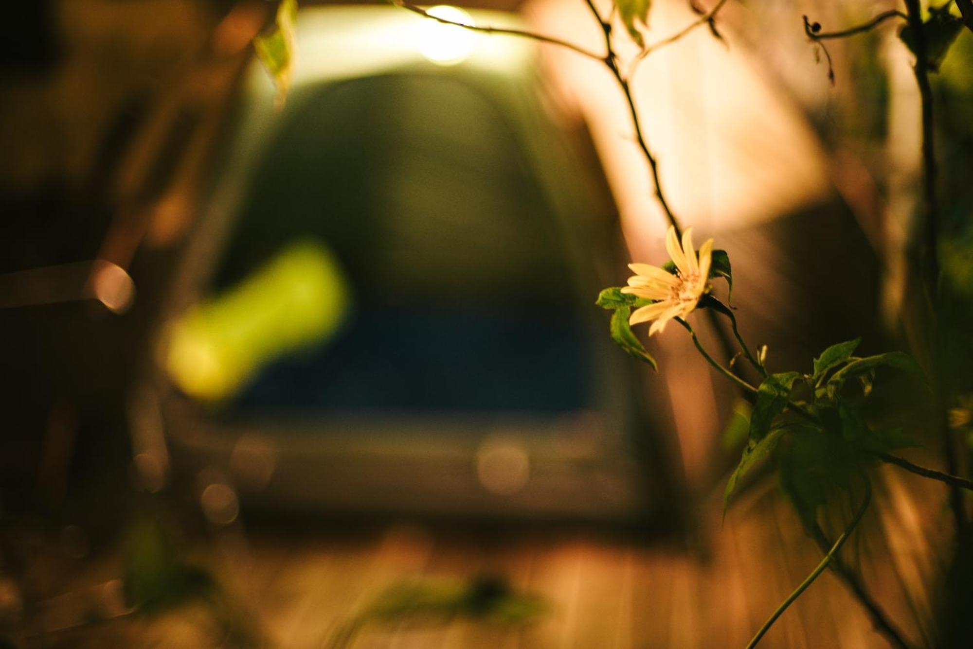 Tram Homestay Thon An Hoa エクステリア 写真